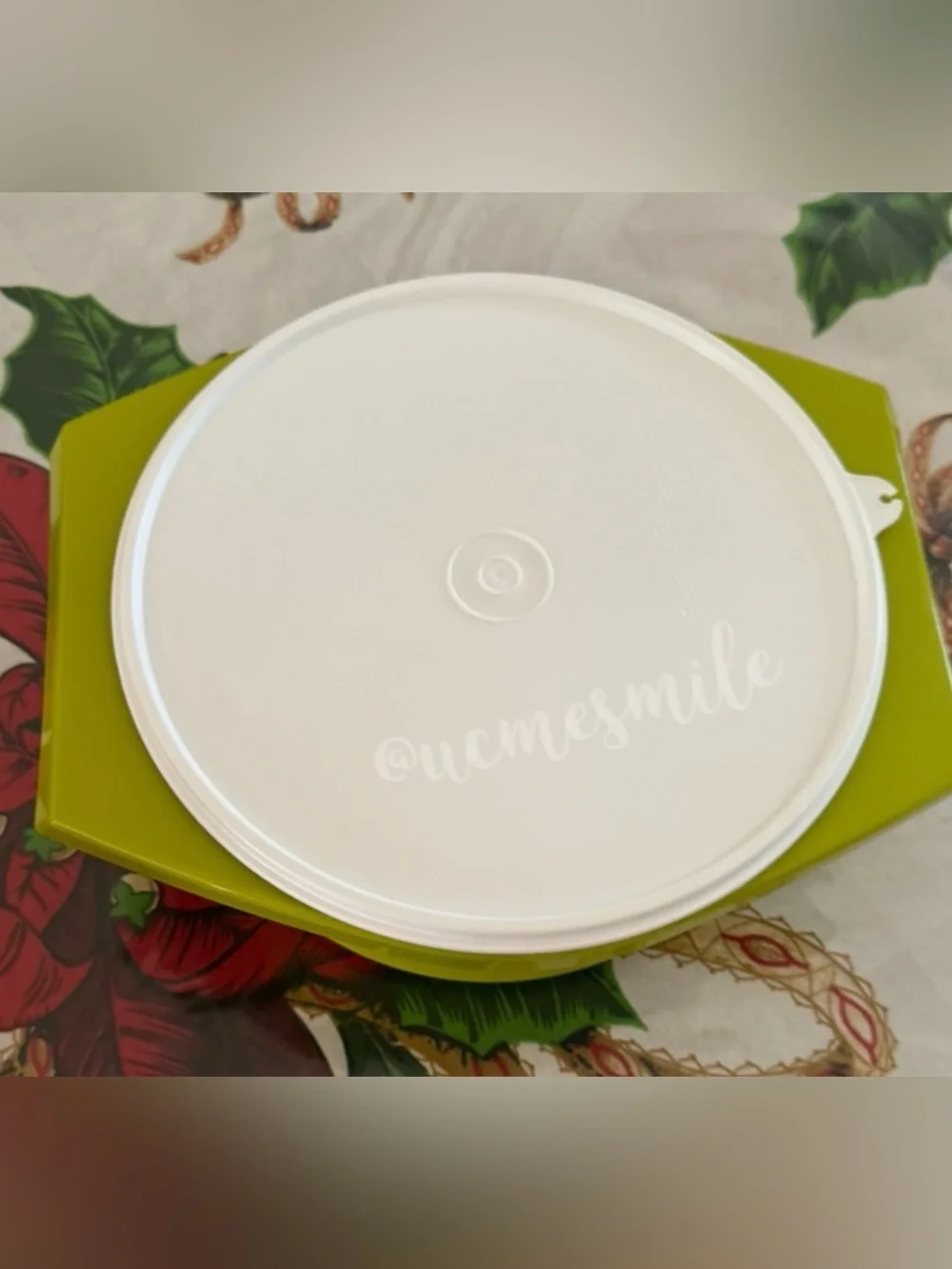 Tupperware Green Tortilla Keeper